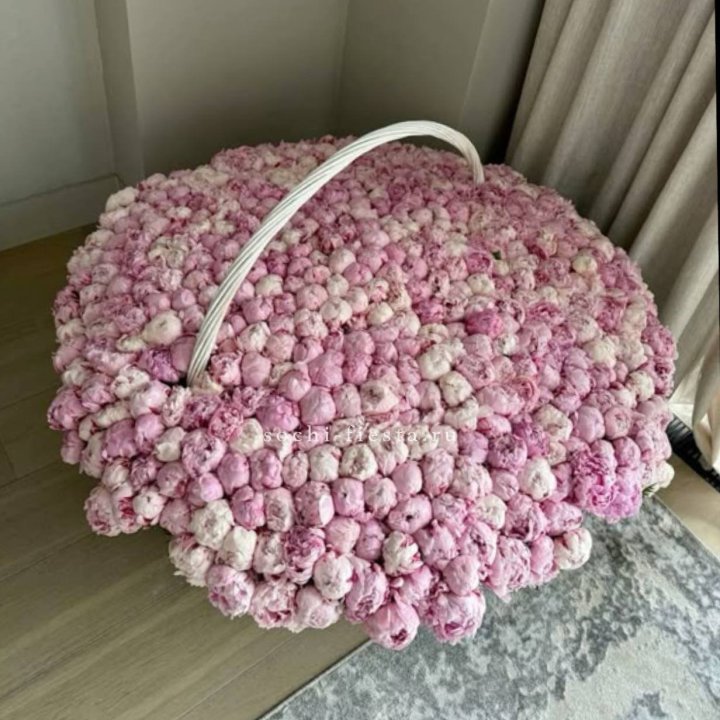 Корзина 555 пионов в Липецке