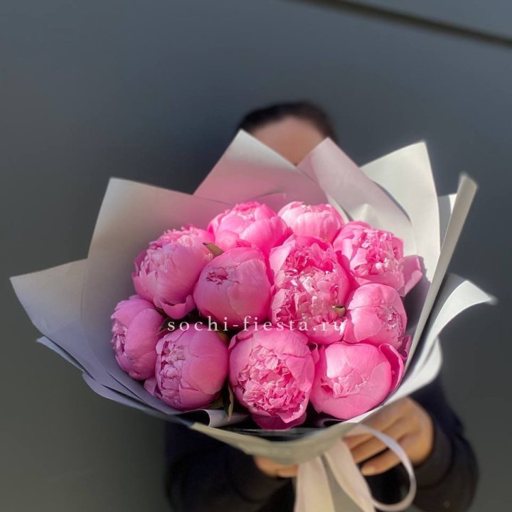 Пионы Алекс флеминг в Липецке