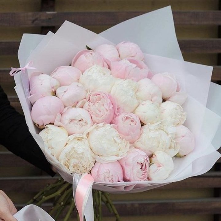 29 пионов в Липецке