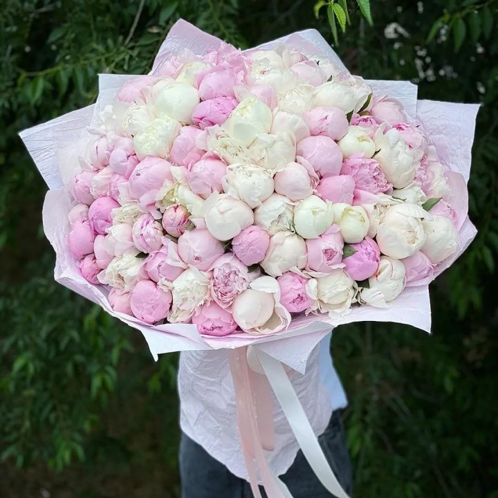 101 пион в Липецке