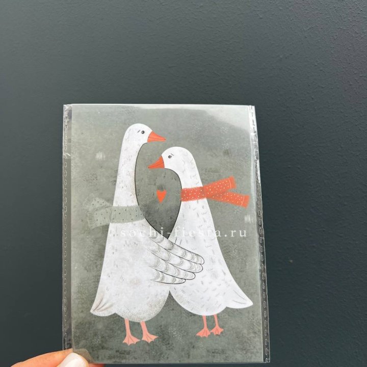 Открытка к букету "Гуси” в Липецке