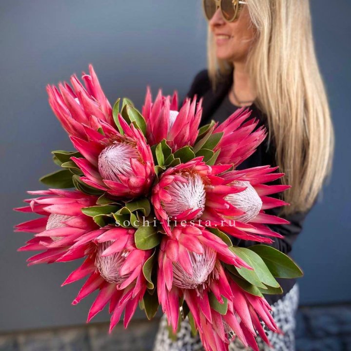 Протея штучно в Липецке