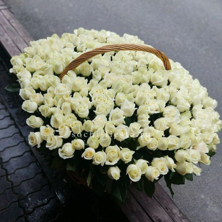 303 розы в корзине в Липецке