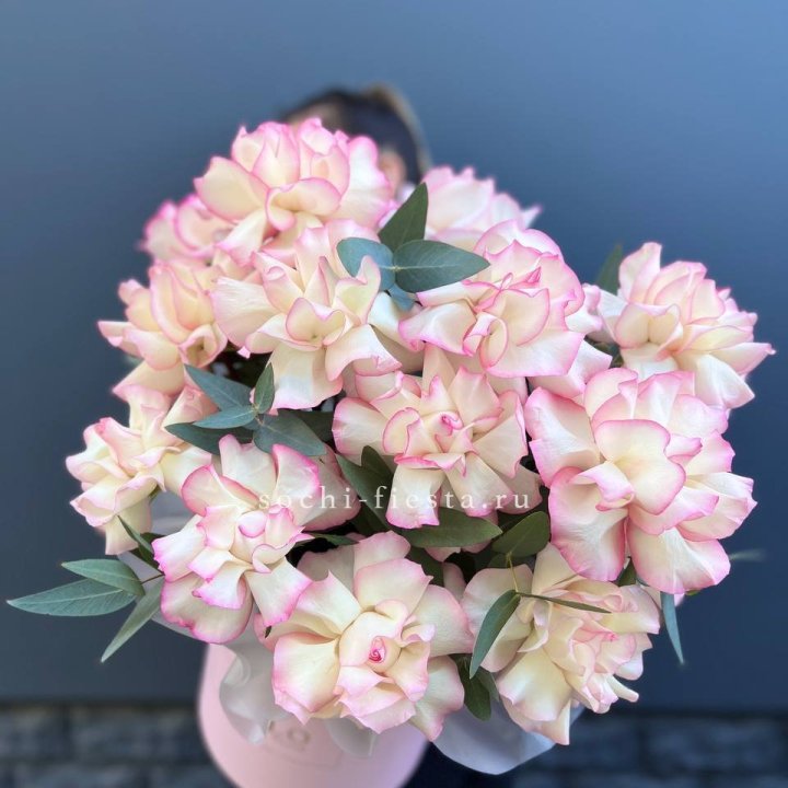 15 Французских роз Джумилия в боксе в Липецке