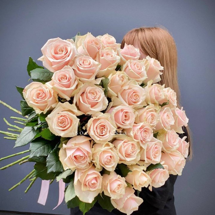 35 кремовых высоких роз в Липецке