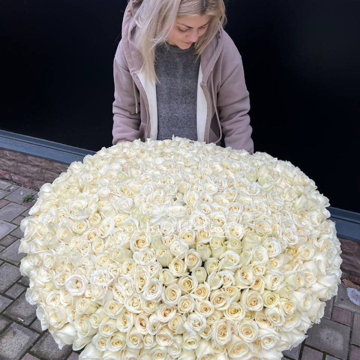 501 белая роза в корзине в Липецке