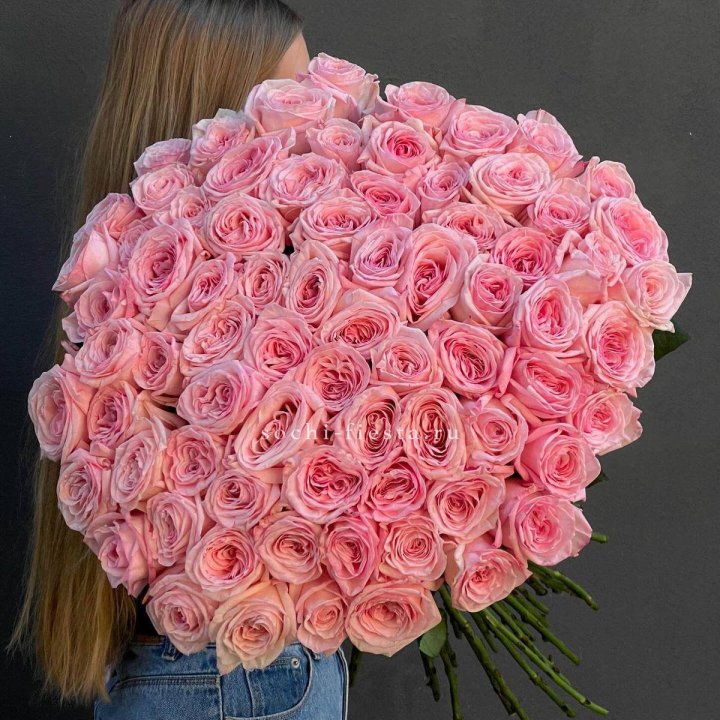 75 роз Охара в Липецке