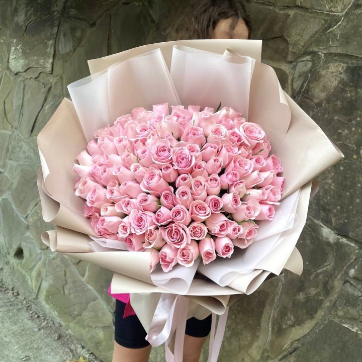 101 нежно-розовая роза Каролина  в Липецке