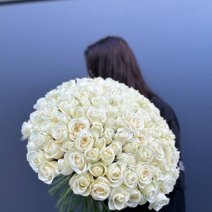 Охапка из 101 белой розы  в Липецке