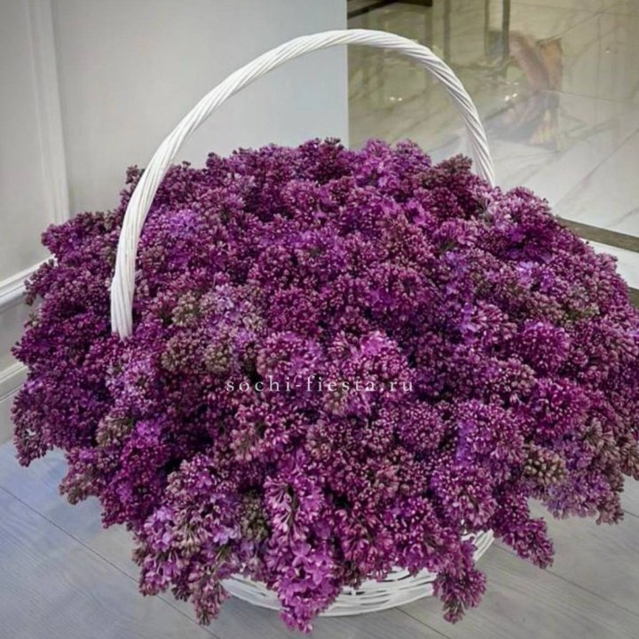 Корзина сирени в Липецке