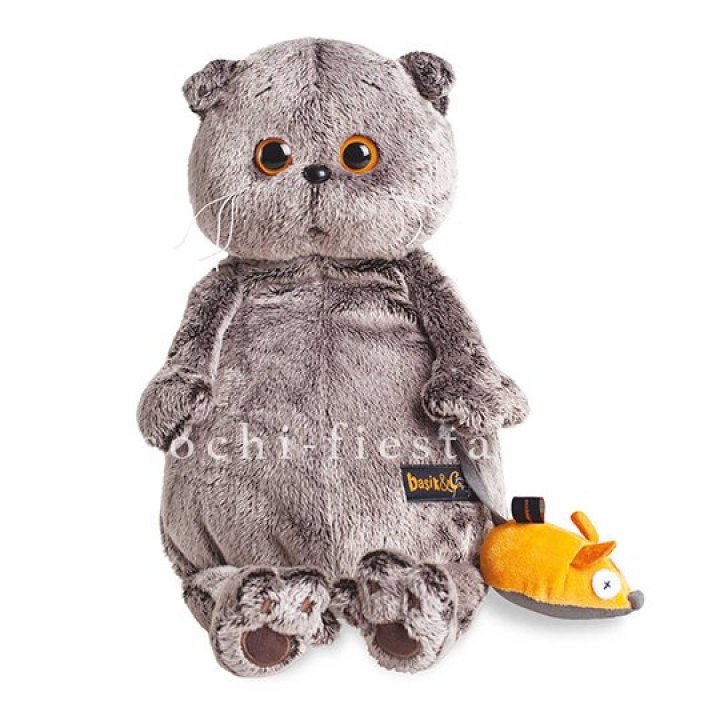 Кот Басик с мышкой в Липецке