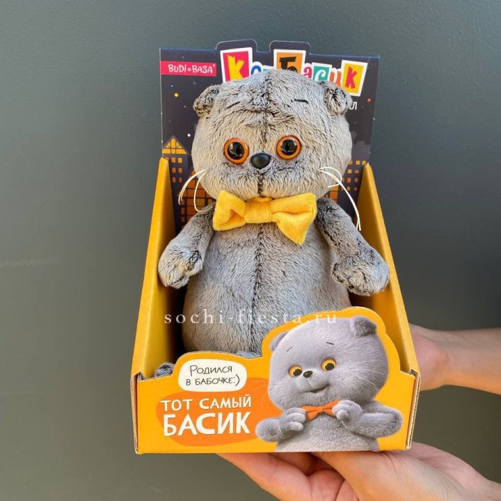 Кот Басик с бабочкой в Липецке