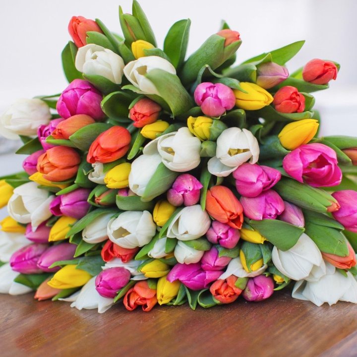 79 тюльпанов "Рандом" в Липецке