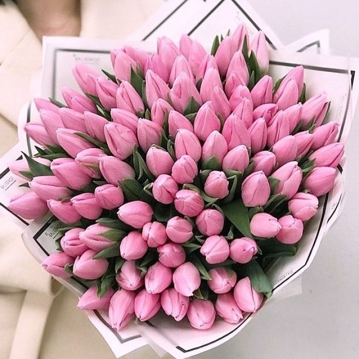 101 розовый тюльпан в белом в Липецке