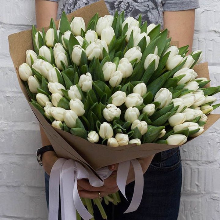 101 тюльпан сноу в Липецке