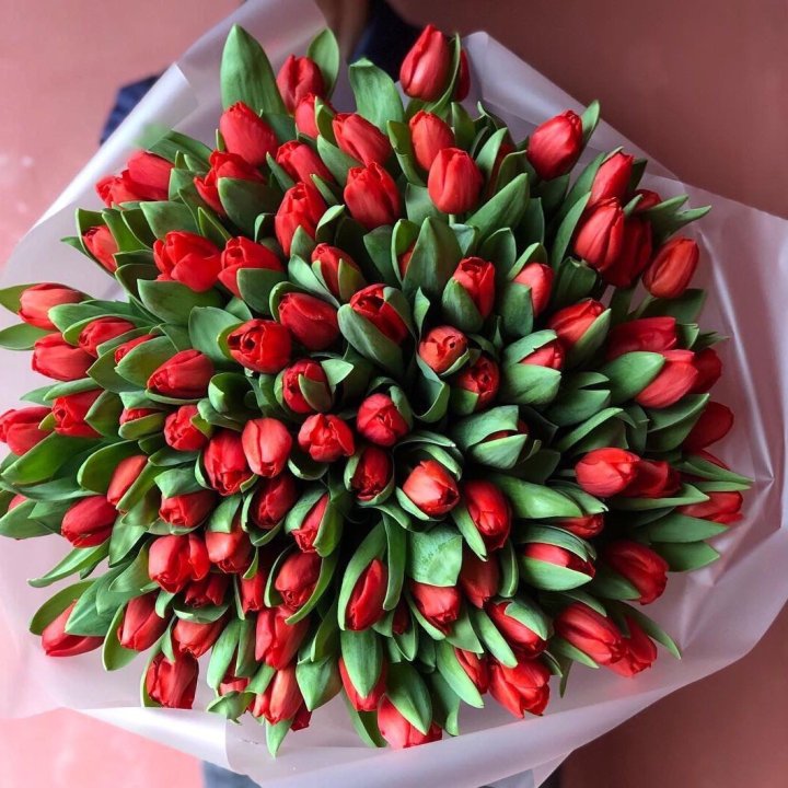 101 красный тюльпан в Липецке